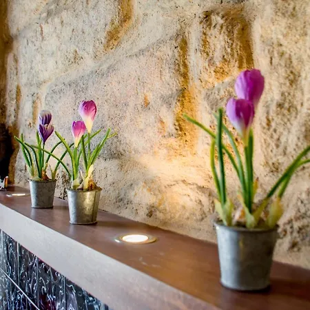 Casa Del Ancla Apartman